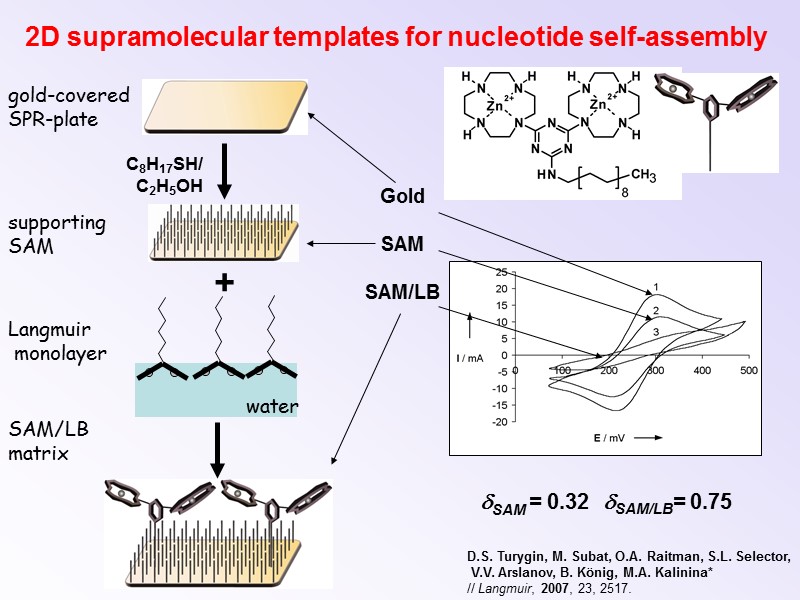 2D supramolecular templates for nucleotide self-assembly        